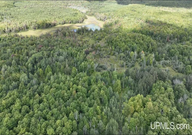 Homes for sale in Shingleton, MI | E12696 H-58 Rd, Shingleton, MI 49884 | MLS# 50211873