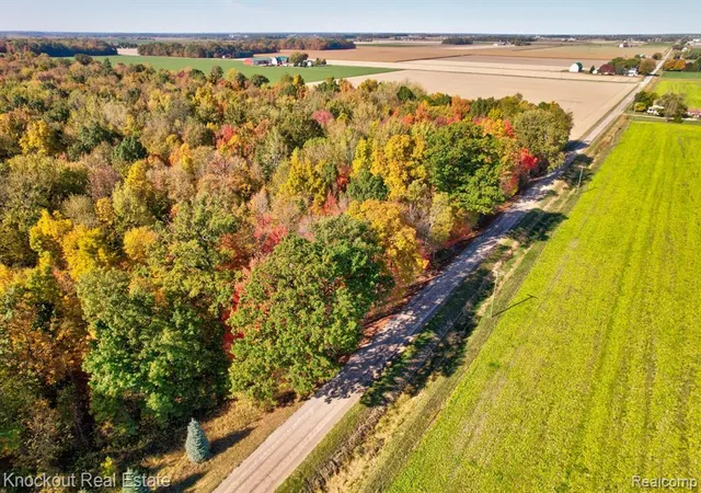 Homes for sale in Frankenmuth, MI | 4000 S Reese Rd, Frankenmuth, MI 48734 | MLS# 60946718