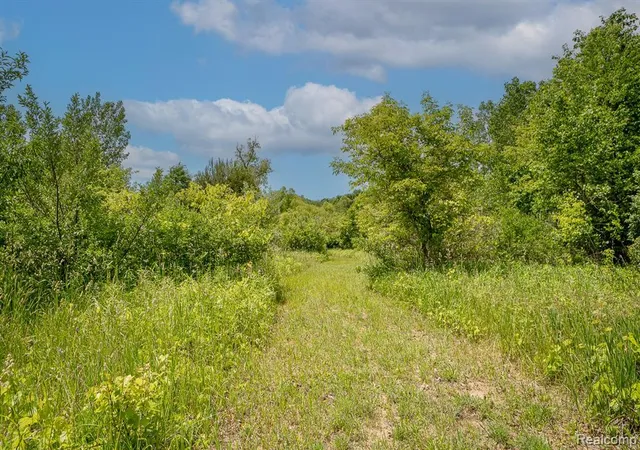 Photo 3 of Land for sale at Vl Fosland Farms Dr, Jackson, MI 49201 | MLS# 60320191 | Listing updated on 2026-05-05