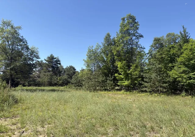 Homes for sale in Mesick, MI | 5551 N 9 Rd, Mesick, MI 49668 | MLS# 80070798