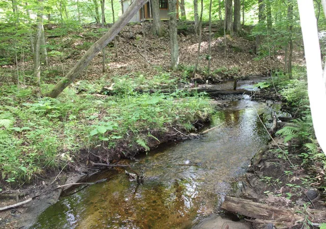 Homes for sale in Kalkaska, MI | 2750 Ne Apple Creek Rd, Kalkaska, MI 49646 | MLS# 80070588