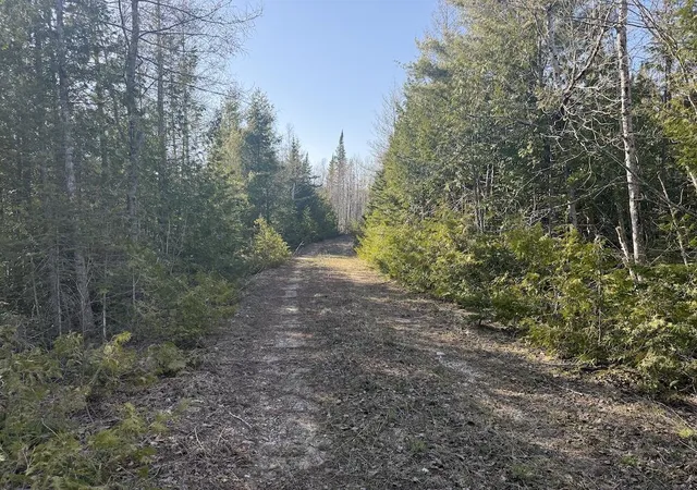 Photo 2 of Land for sale at S Gould City Rd, Gould City, MI 49838 | MLS# 70547141 | Listing updated on 2026-07-27