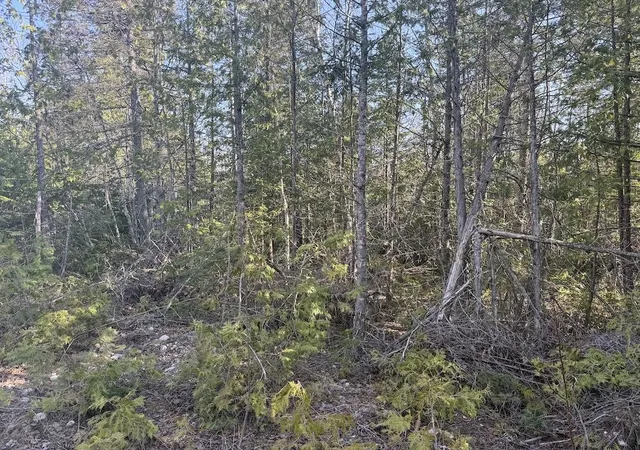 Photo 3 of Land for sale at S Gould City Rd, Gould City, MI 49838 | MLS# 70547141 | Listing updated on 2026-07-27