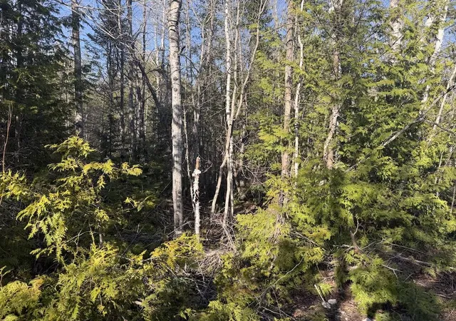 Photo 3 of Land for sale at S Gould City Rd, Gould City, MI 49838 | MLS# 70547141 | Listing updated on 2026-07-27