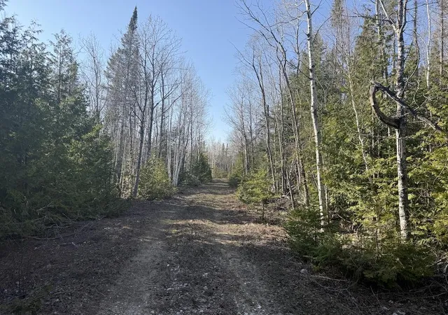 Photo 4 of Land for sale at S Gould City Rd, Gould City, MI 49838 | MLS# 70547141 | Listing updated on 2026-07-27