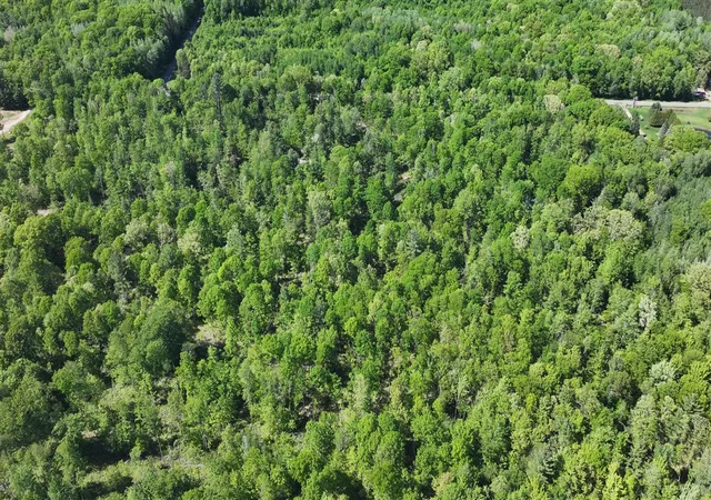 Photo 14 of Land for sale at 13+ E Acres Free Soil Rd, Free Soil, MI 49411 | MLS# 70552342 | Listing updated on 2026-08-14
