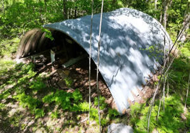 Photo 3 of Land for sale at 13+ E Acres Free Soil Rd, Free Soil, MI 49411 | MLS# 70552342 | Listing updated on 2026-08-14