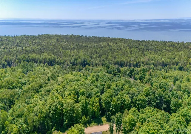Homes for sale in Manistique, MI | Tbd Dillexie Ln, Manistique, MI 49854 | MLS# 50213354