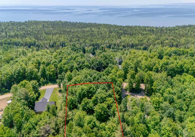 Homes for sale in Manistique, MI | Tbd Dillexie Ln, Manistique, MI 49854 | MLS# 50213354