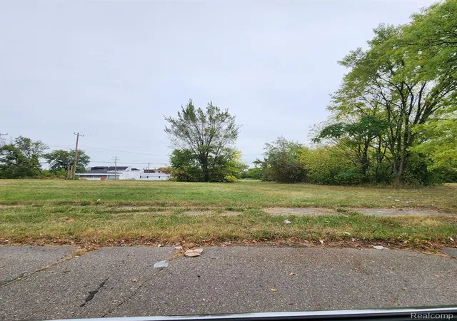 Photo 2 of Land for sale at 3751 Longfellow St, Detroit, MI 48206 | MLS# 60345298 | Listing updated on 2026-07-23