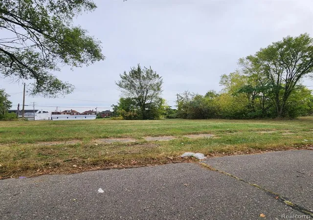 Photo 3 of Land for sale at 3751 Longfellow St, Detroit, MI 48206 | MLS# 60345298 | Listing updated on 2026-07-23