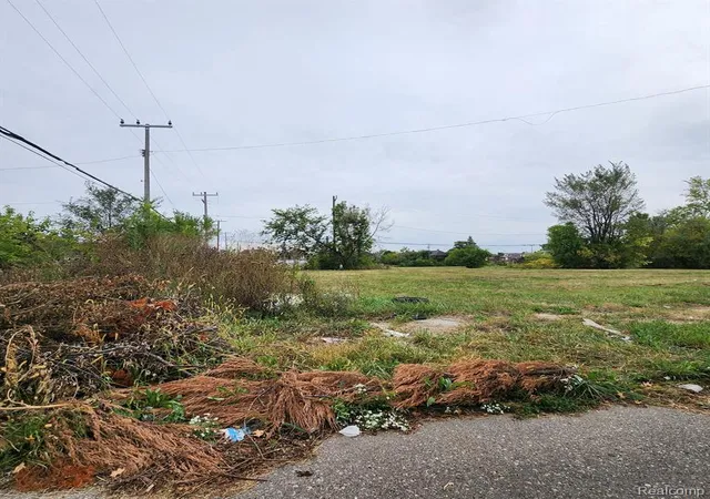 Photo 4 of Land for sale at 3751 Longfellow St, Detroit, MI 48206 | MLS# 60345298 | Listing updated on 2026-07-23
