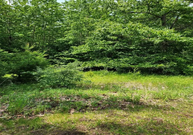 Photo 3 of Land for sale at 00 Opal Ridge Dr, Onekama, MI 49675 | MLS# 70548577 | Listing updated on 2026-07-30