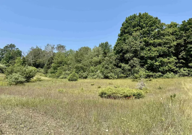 Homes for sale in Alden, MI | 00 Alden Meadows Dr, Alden, MI 49612 | MLS# 80065356