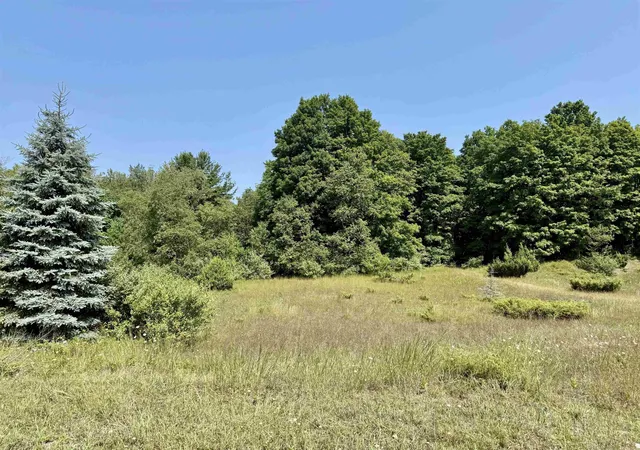 Homes for sale in Alden, MI | 00 Alden Meadows Dr, Alden, MI 49612 | MLS# 80065356
