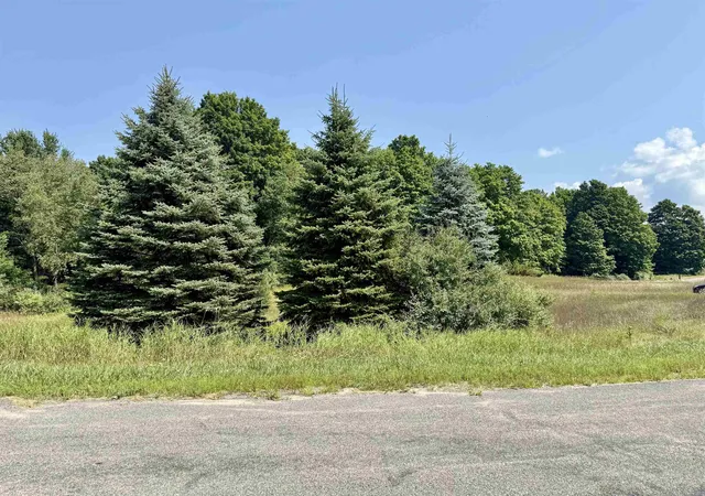Homes for sale in Alden, MI | 00 Alden Meadows Dr, Alden, MI 49612 | MLS# 80065356