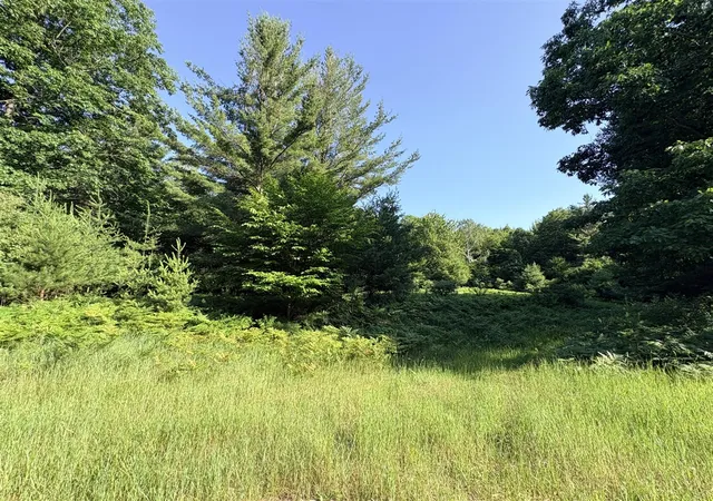 1st image of Wildwood Trl, Manistee, MI 49660 | MLS# 70543284