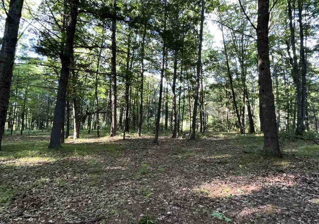 20th image of 10470 Cedar Rd, Lake, MI 48632 | MLS# 50211619