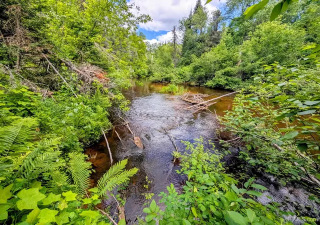 Photo 3 of Sale Pending at 55 Acres Old M 28 Hwy, Kenton, MI 49967 | MLS# 50213496 | Listing updated on 2026-09-22