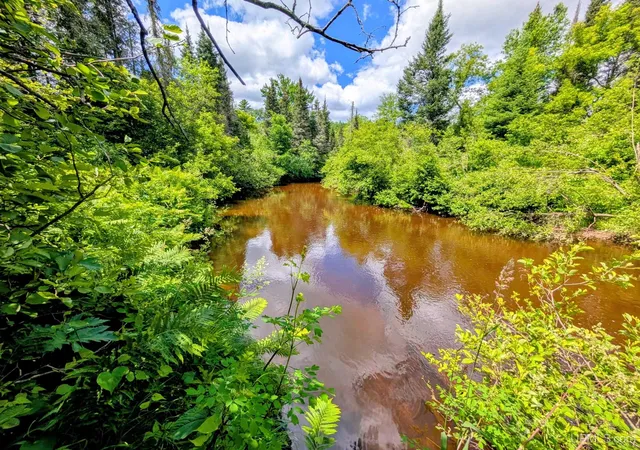 Photo 3 of Sale Pending at 55 Acres Old M 28 Hwy, Kenton, MI 49967 | MLS# 50213496 | Listing updated on 2026-09-22