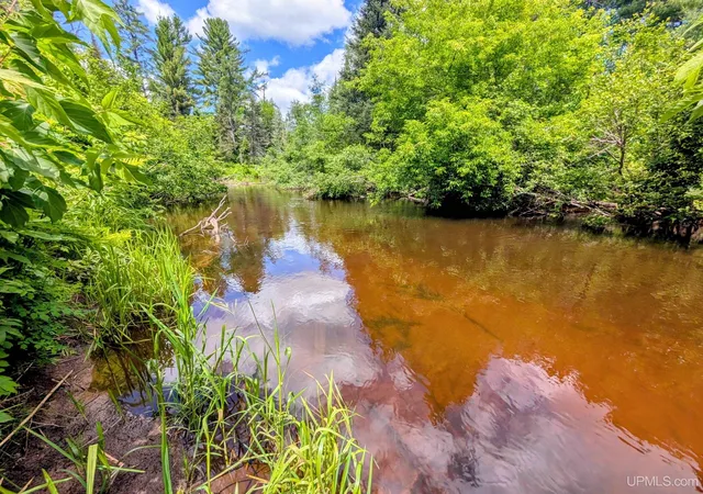 Photo 4 of Sale Pending at 55 Acres Old M 28 Hwy, Kenton, MI 49967 | MLS# 50213496 | Listing updated on 2026-09-22