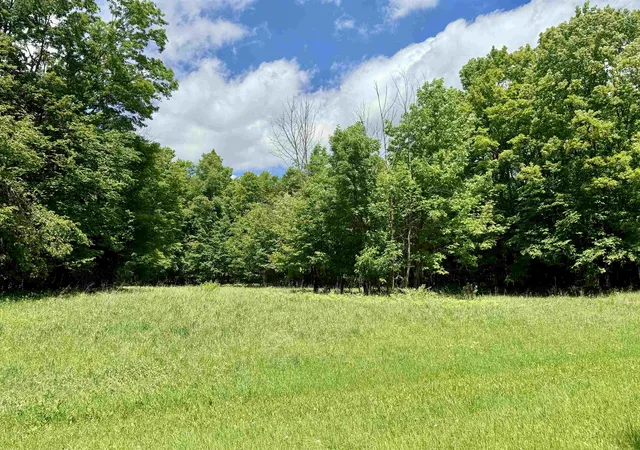 Homes for sale in Hillman, MI | V/l Farrier Rd, Hillman, MI 49746 | MLS# 80069694