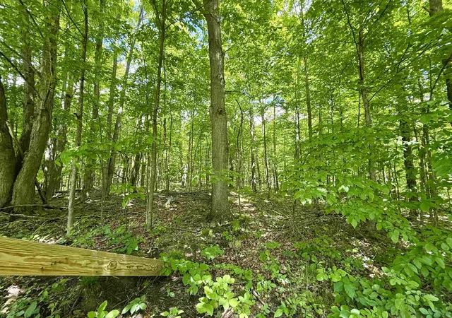 Homes for sale in Hillman, MI | V/L Farrier Rd, Hillman, MI 49746 | MLS# 80069694