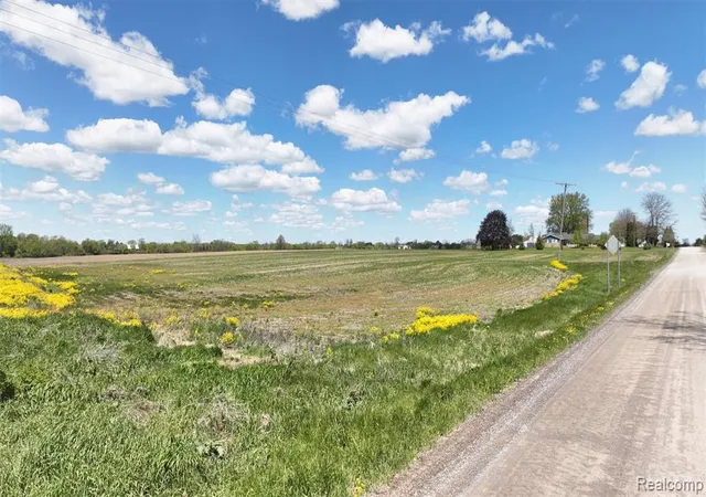 Homes for sale in Imlay City, MI | 91 N Doran Rd, Imlay City, MI 48444 | MLS# 60977241