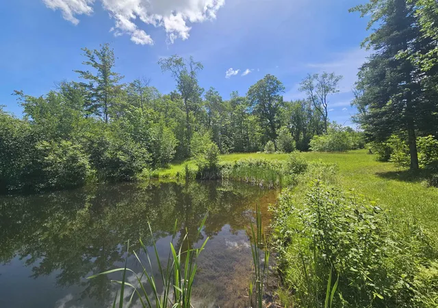 23rd image of 6221 W Clarence Rd, Harrison, MI 48625 | MLS# 50211642