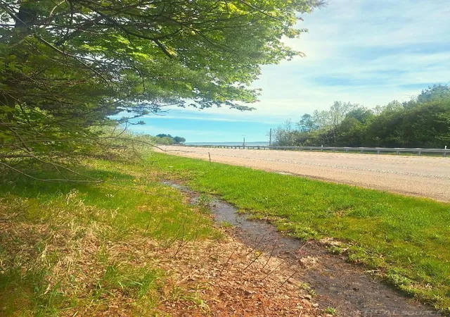 Homes for sale in Applegate, MI | Parcel 2 Lakeshore Rd, Applegate, MI 48401 | MLS# 50208422