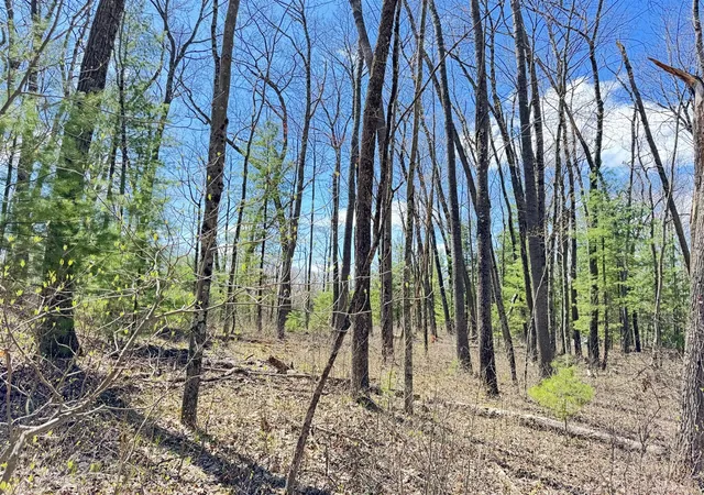 1st image of 0 W Franklin St, Bitely, MI 49309 | MLS# 70554460
