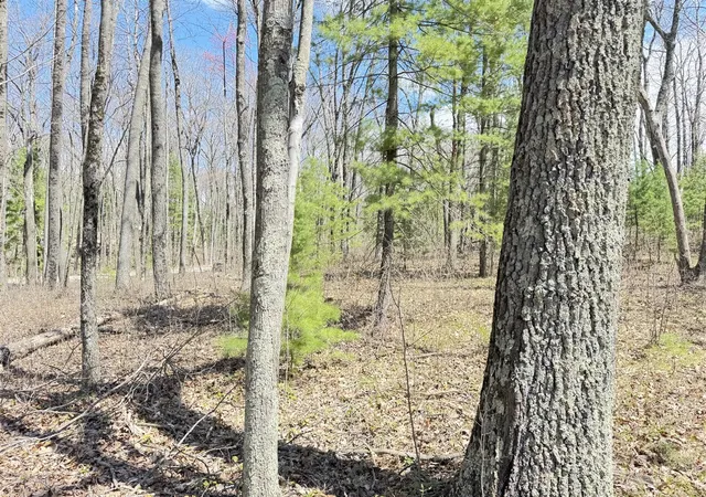3rd image of 0 W Franklin St, Bitely, MI 49309 | MLS# 70554460