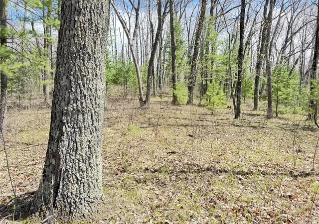 5th image of 0 W Franklin St, Bitely, MI 49309 | MLS# 70554460
