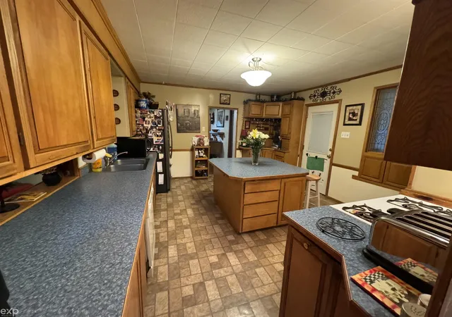 Homes for sale in Imlay City, MI | 355 W 1St St, Imlay City, MI 48444 | MLS# 50203499