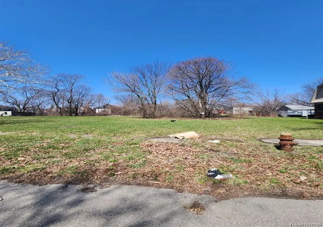 Photo 3 of Land for sale at 589 Leicester Ct, Detroit, MI 48202 | MLS# 60983809 | Listing updated on 2026-07-07