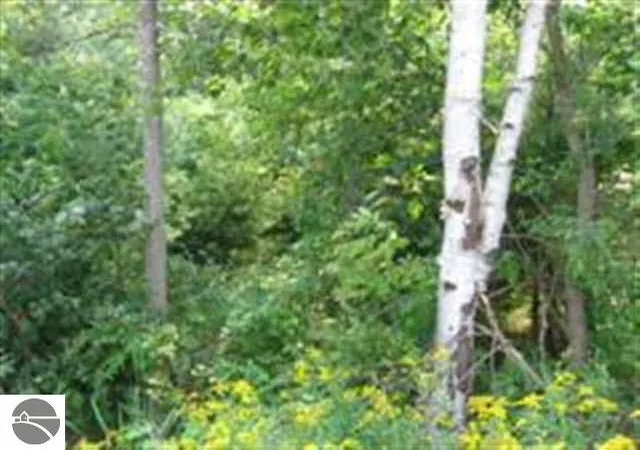 Photo 2 of Land for sale at 0  M 55, Tawas City, MI 48763 | MLS# 80001301 | Listing updated on 2026-10-02