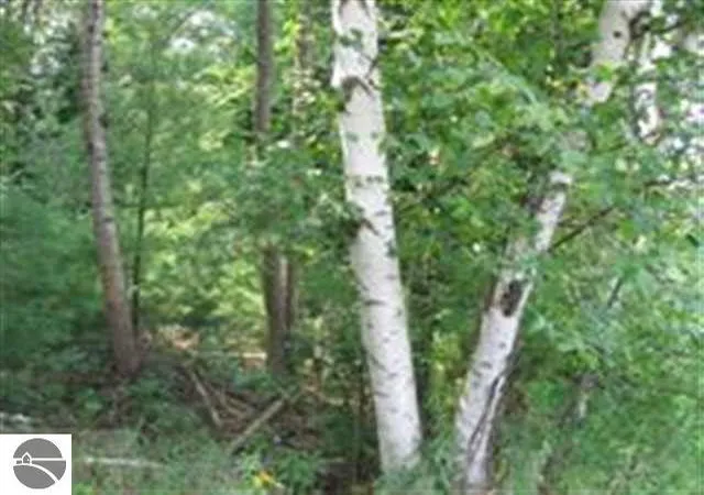 Photo 3 of Land for sale at 0  M 55, Tawas City, MI 48763 | MLS# 80001301 | Listing updated on 2026-10-02