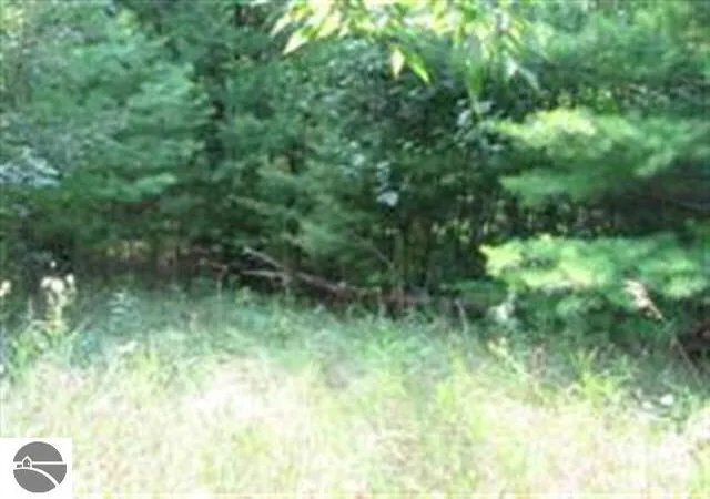 Photo 4 of Land for sale at -0- M-55, Tawas City, MI 48763 | MLS# 80001301 | Listing updated on 2026-10-02