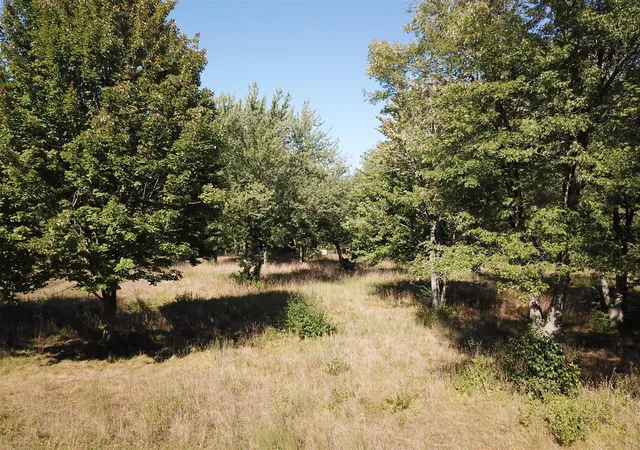 Photo 2 of Land for sale at 1853 W John Beers Rd, Stevensville, MI 49127 | MLS# 70526714 | Listing updated on 2026-06-27