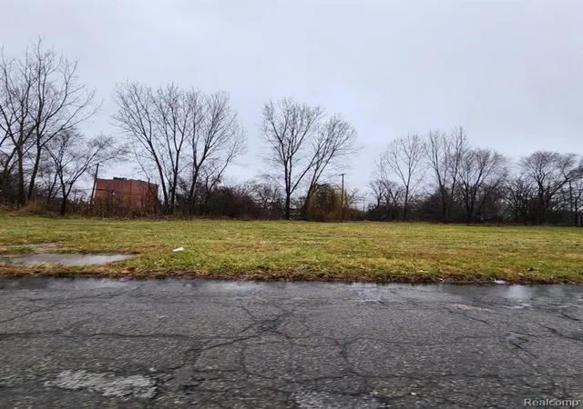 Photo 3 of Land for sale at 2661 Hendricks St, Detroit, MI 48207 | MLS# 60970024 | Listing updated on 2026-07-07