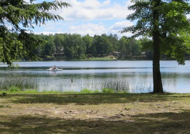 4th image of 2043 E Log Lake Rd, Kalkaska, MI 49646 | MLS# 80072481