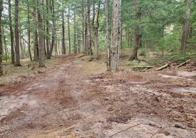 Homes for sale in Au Train, MI | Old Plank Rd, Au Train, MI 49895 | MLS# 50210543