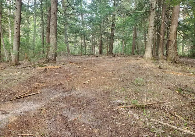 Homes for sale in Au Train, MI | Old Plank Rd, Au Train, MI 49895 | MLS# 50210543