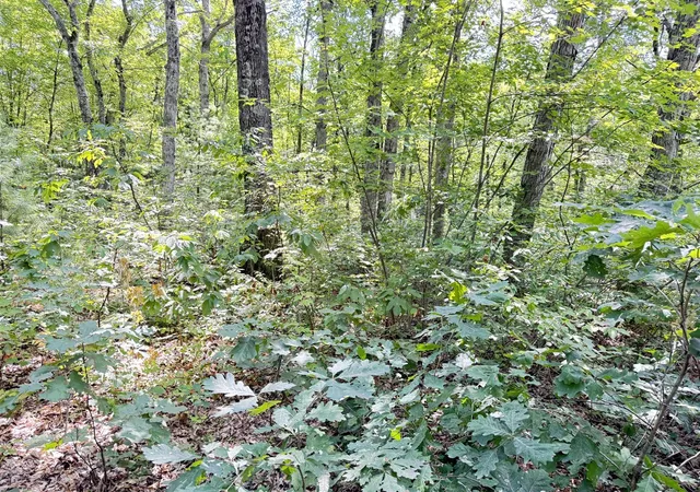 Photo 1 of Land for sale at 8th Ave, Bitely, MI 49309 | MLS# 70555604 | Listing updated on 2026-08-29