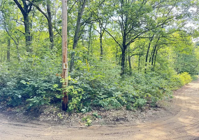 Photo 2 of Land for sale at 8th Ave, Bitely, MI 49309 | MLS# 70555604 | Listing updated on 2026-08-29