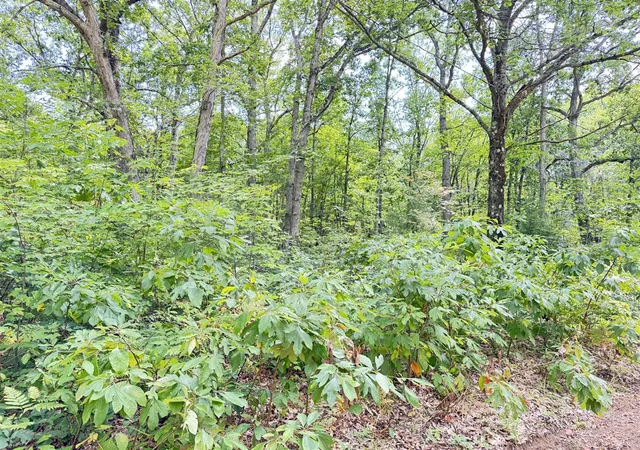 Photo 3 of Land for sale at 8th Ave, Bitely, MI 49309 | MLS# 70555604 | Listing updated on 2026-08-29