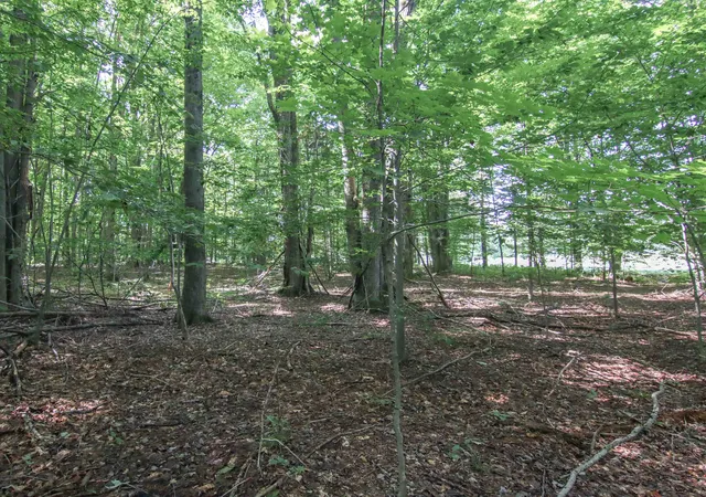 Photo 4 of Land for sale at 000-Unit 33 Mountainwoods Dr, Thompsonville, MI 49683 | MLS# 80072952 | Listing updated on 2026-08-31