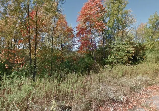Homes for sale in Cassopolis, MI | 0 Forest Shores Dr, Cassopolis, MI 49031 | MLS# 70479134