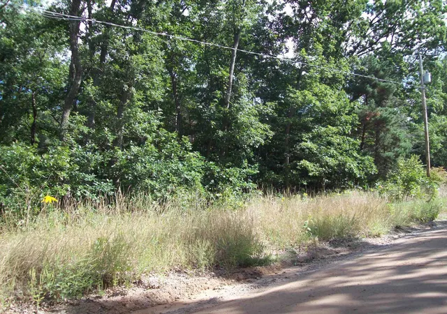 Photo 1 of Land for sale at Lot 137 Maryland St, Harrison, MI 48625 | MLS# 50153959 | Listing updated on 2026-09-15
