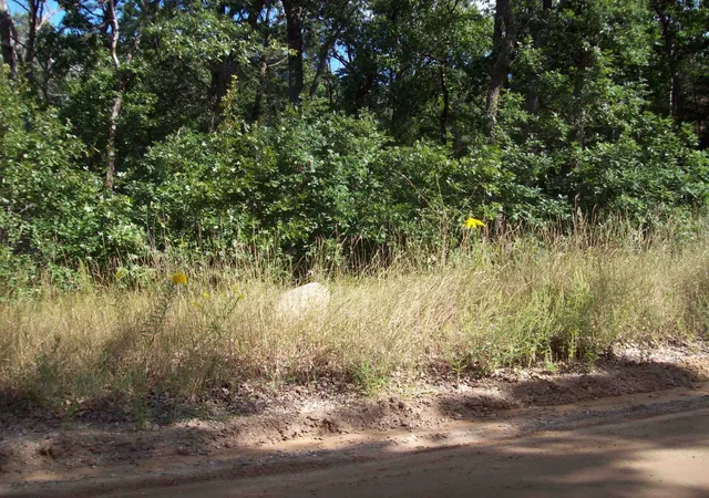 Photo 2 of Land for sale at Lot 137 Maryland St, Harrison, MI 48625 | MLS# 50153959 | Listing updated on 2026-09-15